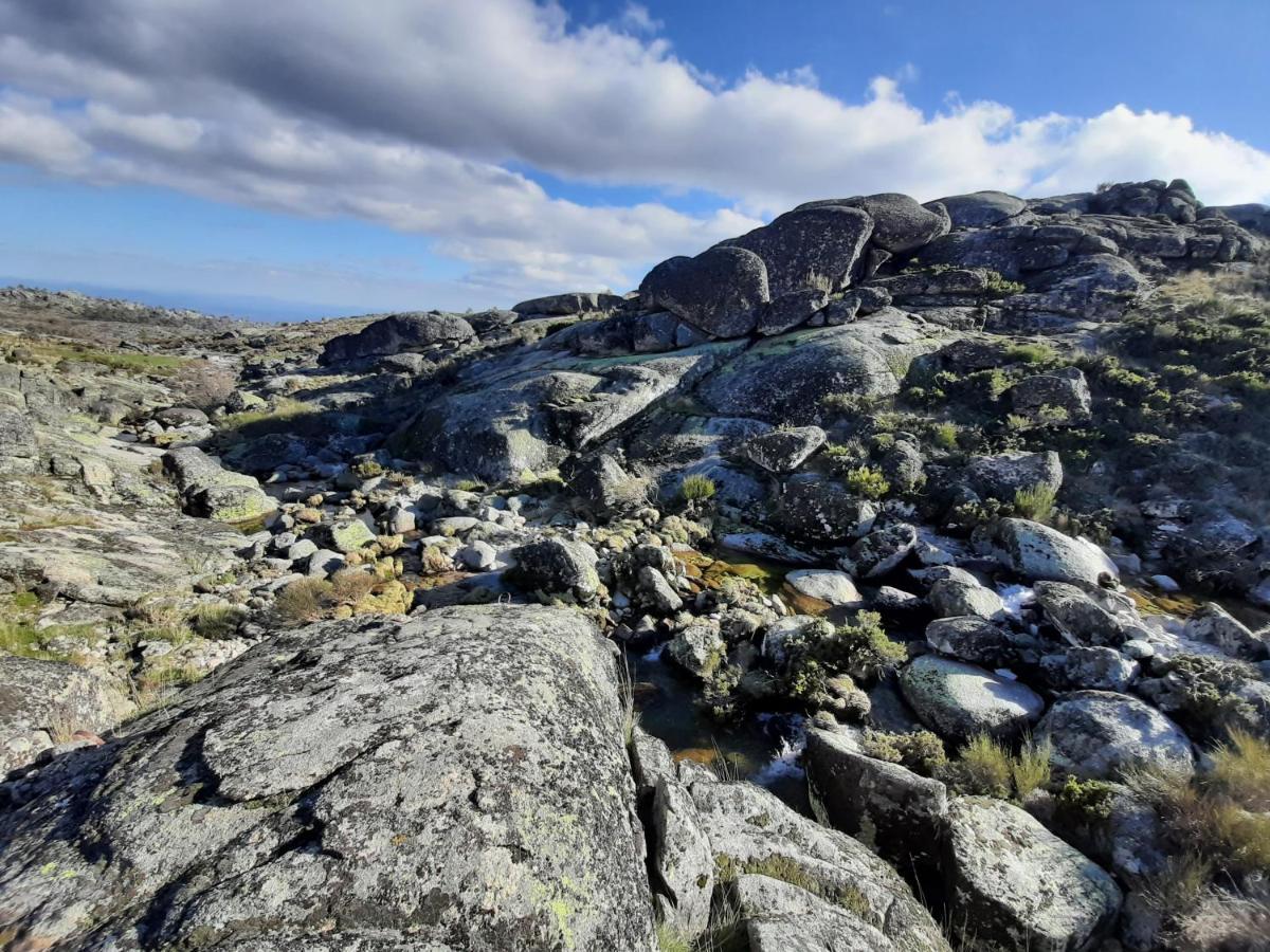 Casa Da Bela Vista - Serra Da Estrela Covilhã Exteriör bild