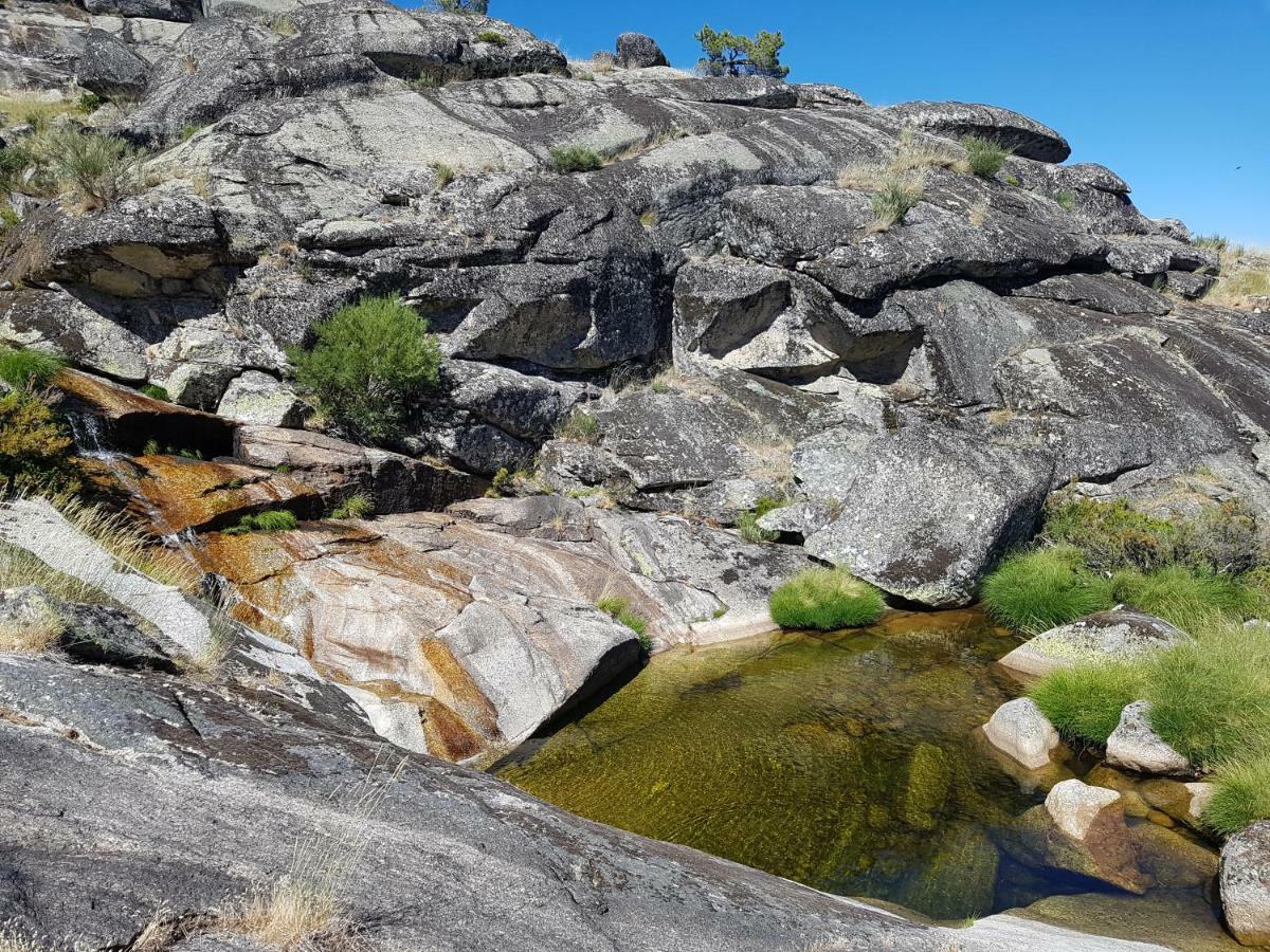 Casa Da Bela Vista - Serra Da Estrela Covilhã Exteriör bild